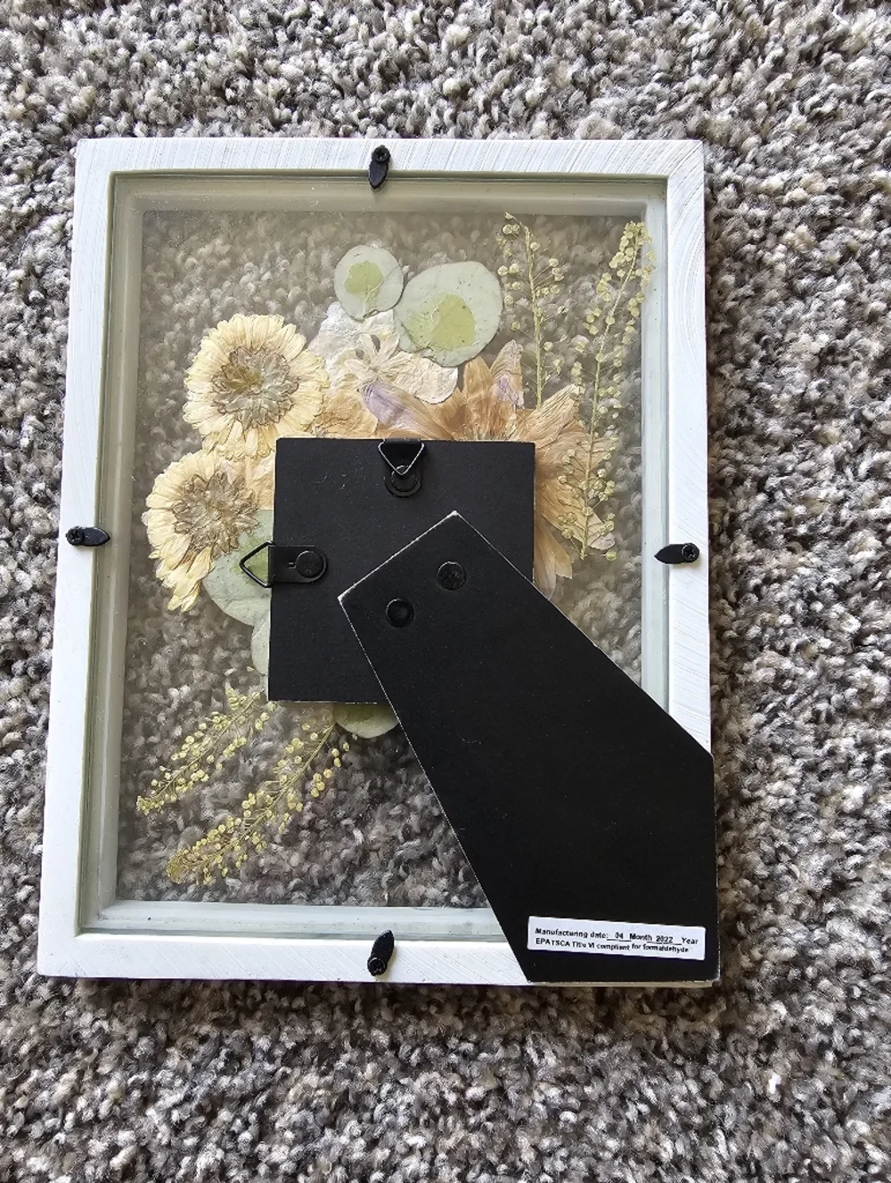 Pressed Flower Wall Art in Cream and Yellow - Unbranded
